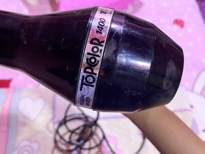Professional hair dryer