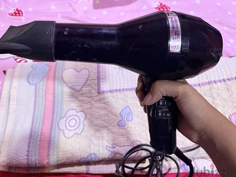 Professional hair dryer 2