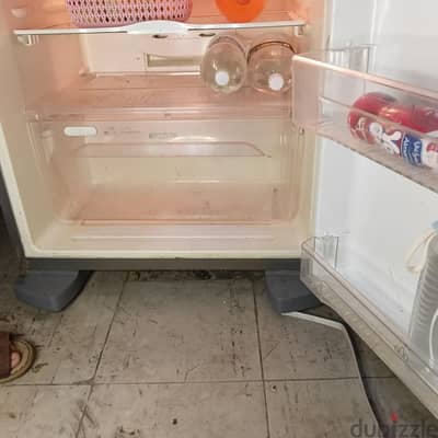 Zanussi No-Frost Fridge | Powerful Cooling, Zero Ice Build-Up!