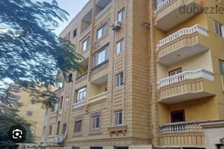 لقطه فى حدايق الاهرام