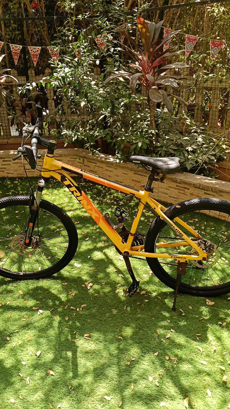 yellow trinx 26 1