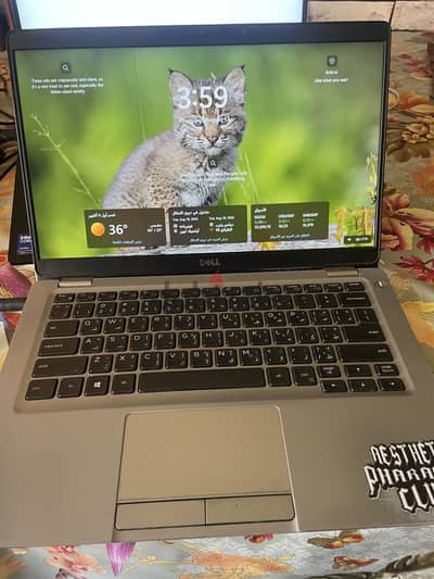 Dell Latitude 5310