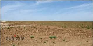 للبيع أرض9000م مميزة على المحور الرئيسي موقع مميز جدا