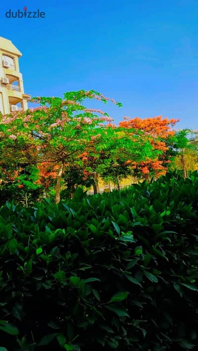 Furnished apartment for rent in my city | In a genius location at B2