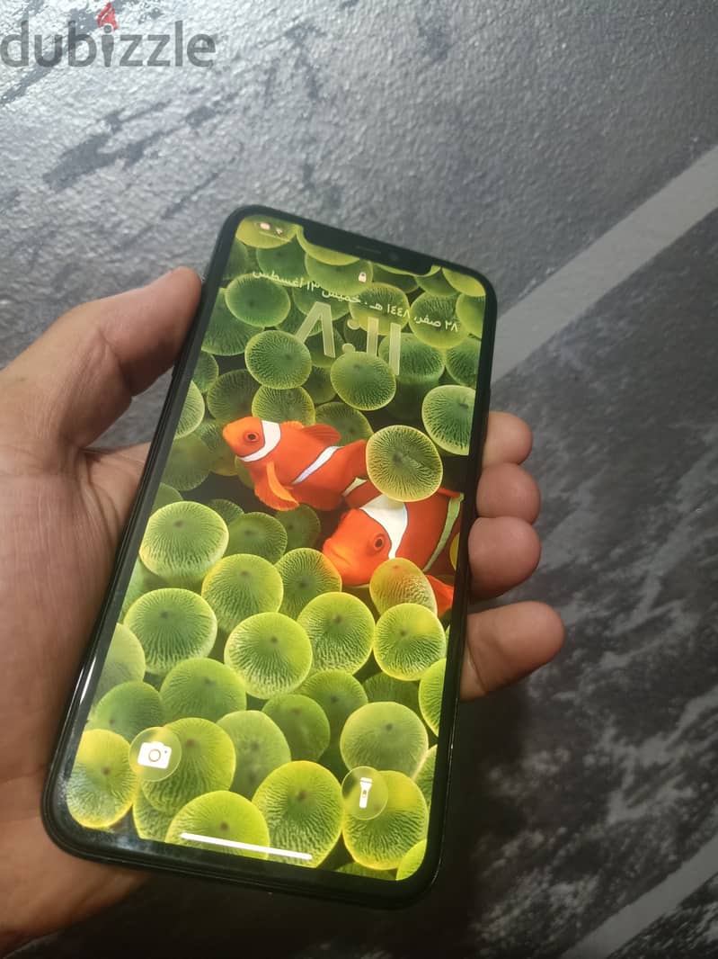 iPhone 11Bro Max 3