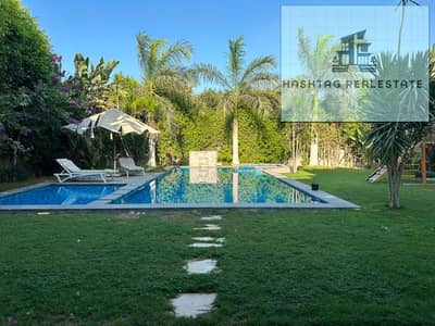 tandalone Villa for rent Palm Hills  Details:  Land Area: 980 Built-up Area: 670m  5 Bedrooms 6 Bathrooms View landscape  Swimming pool  Asking price