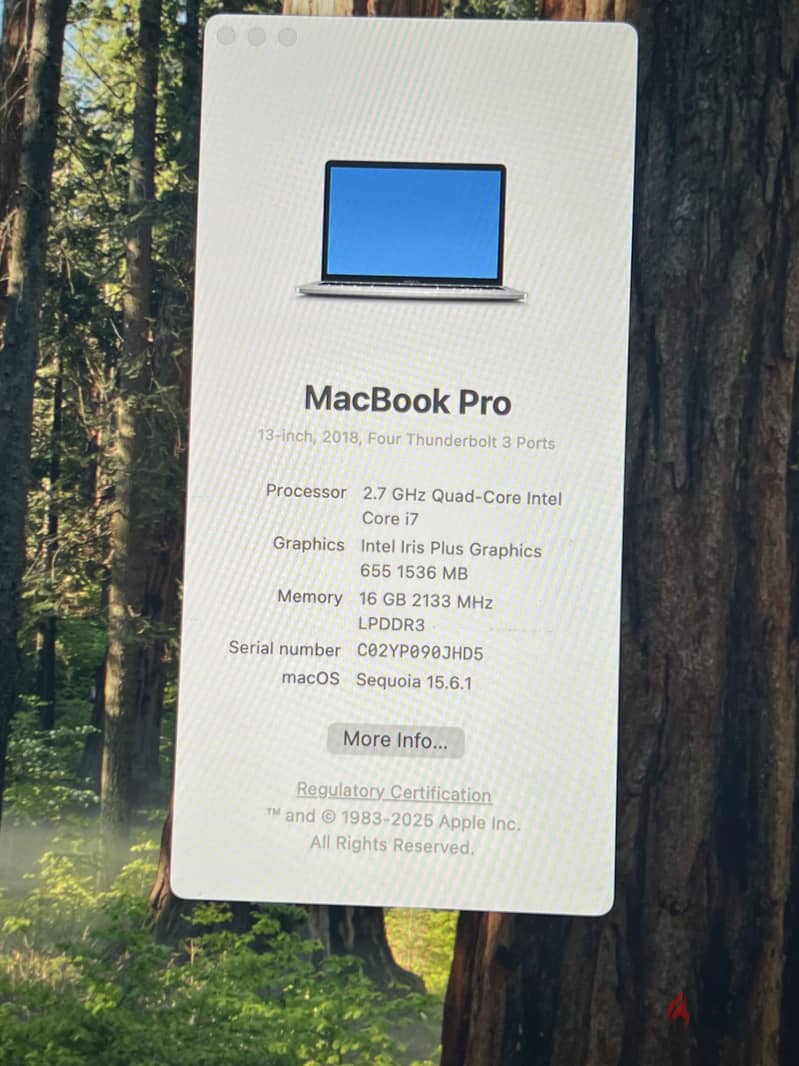 Macbook Pro 2018 (13’ Inch) 2