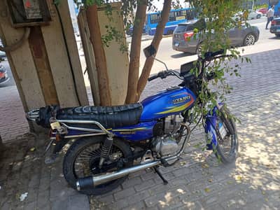 موتسكل للبيع