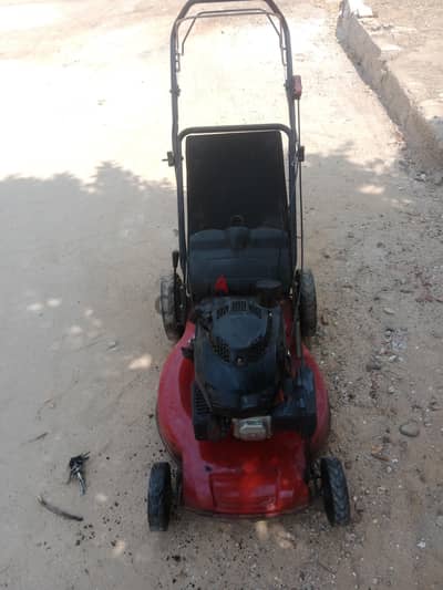مكنه قص نجيله  LUANTOB
