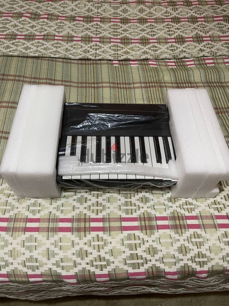 Arturia Komplete Kontrol A25 2