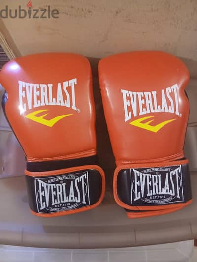 everlast gloves