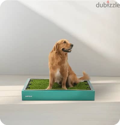 petmind