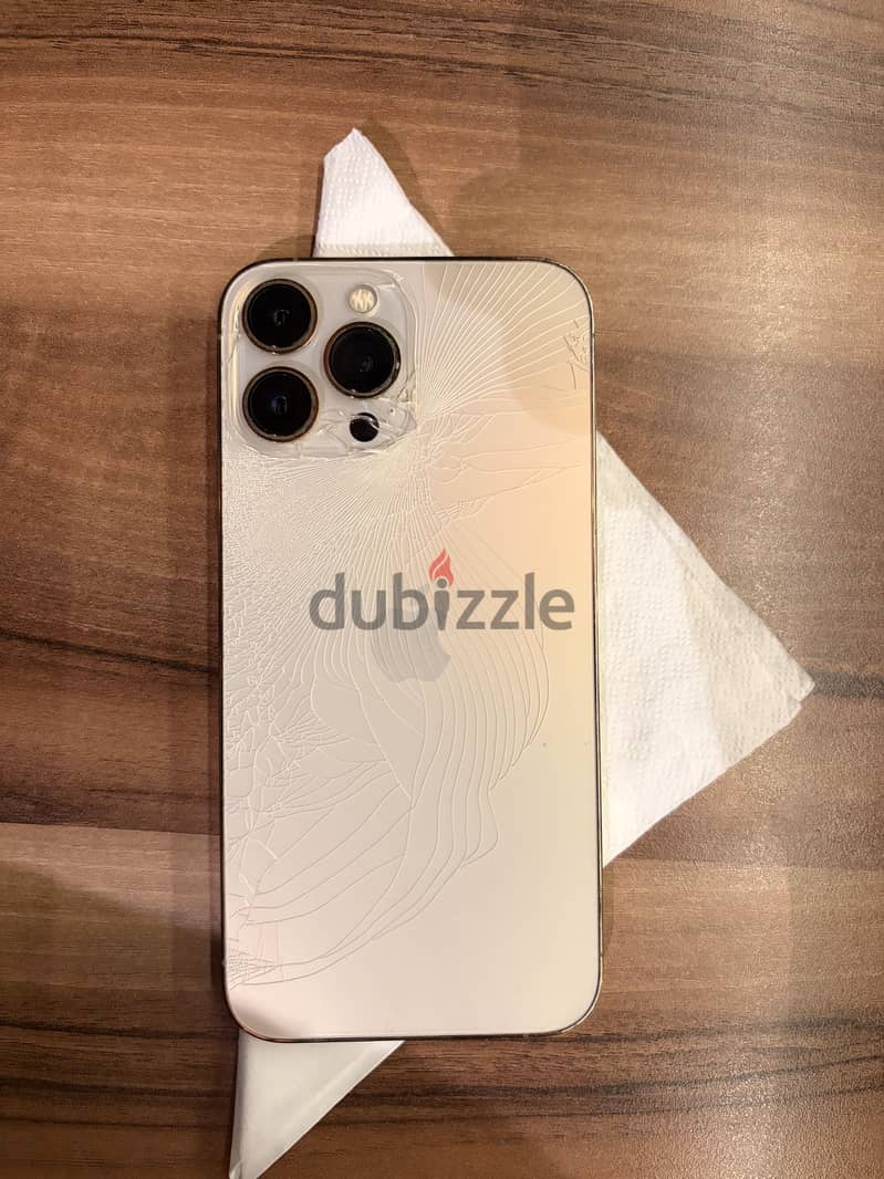 Apple - iPhone 13 Pro Max 1