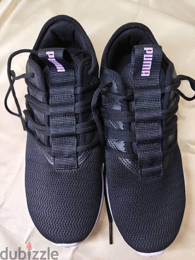 كوتشي puma الأصلي جديد