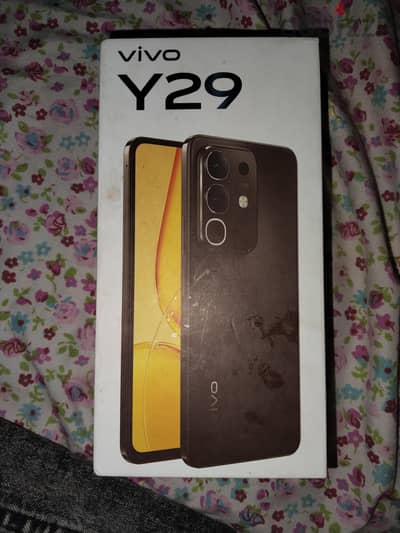 فيفو واى 29