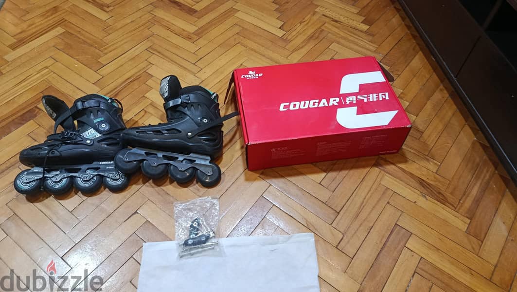 cogar 509 1