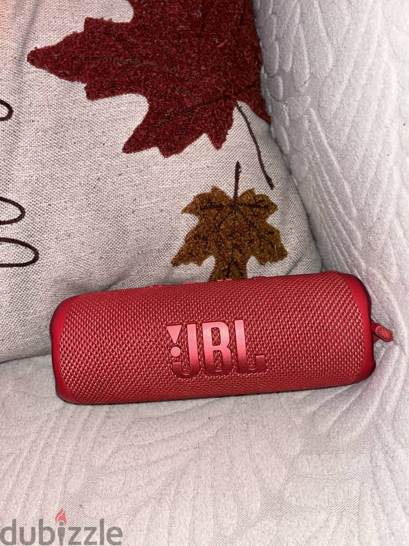 JBL FLIP 6 1