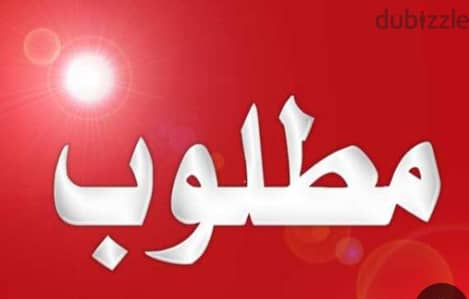 عصافير  استرالي