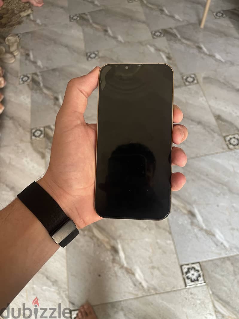 Apple - iPhone 13 Pro Max 1
