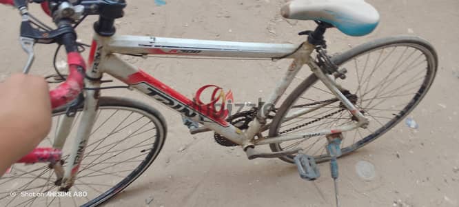 Trinx r 300