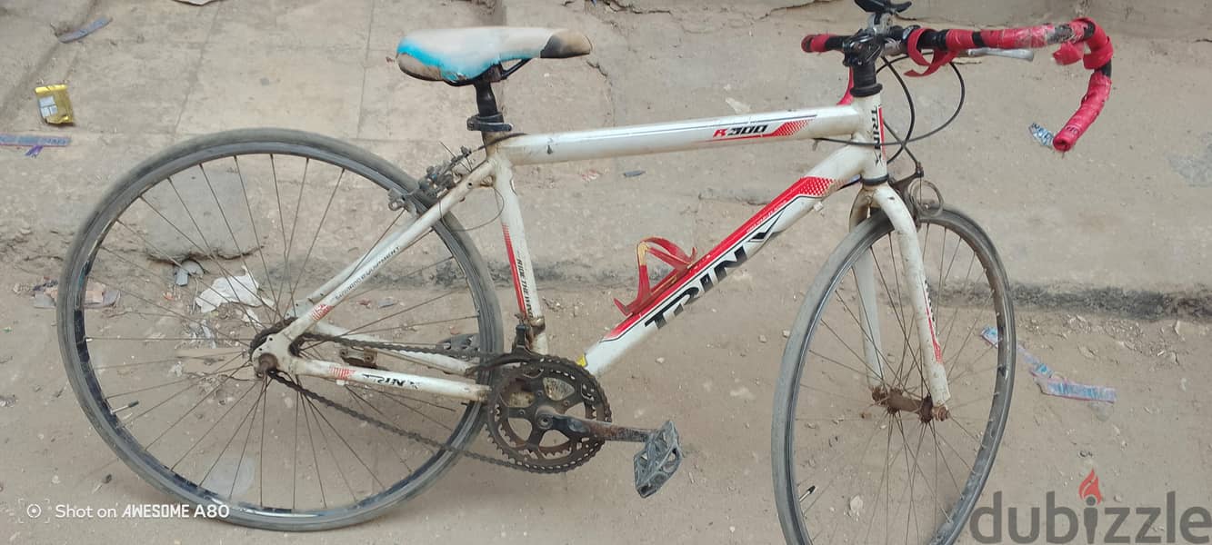 Trinx r 300 1