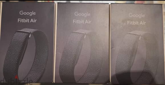 Google fitbit air
