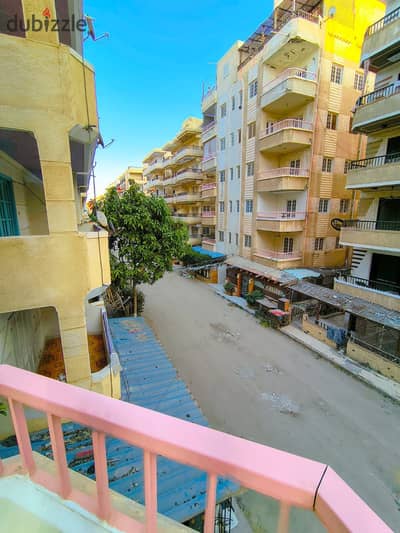 شقه للبيع بالإسكندرية العجمي شطي النخيل ٦اكتوبر الكيلو٢١ اسكندرية مطروح