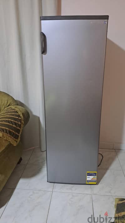 Used Vertical Freezer with Failed motor