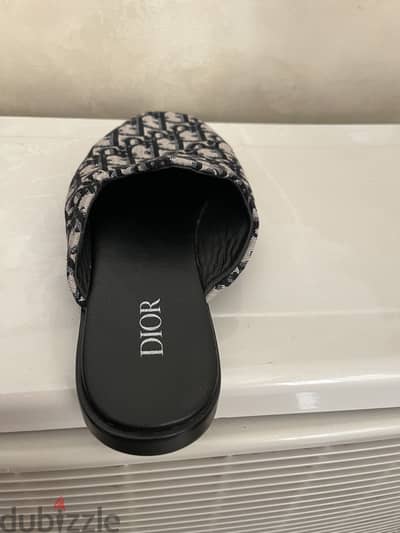 Dior slides