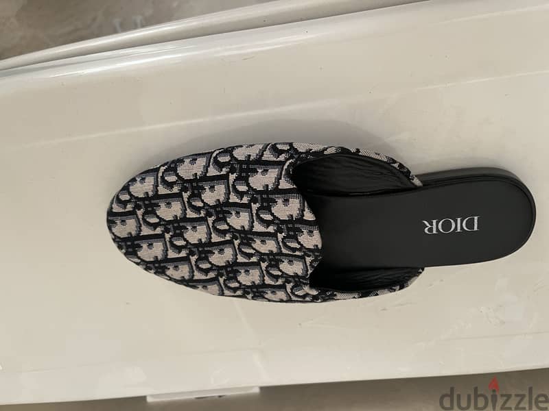 Dior slides 1