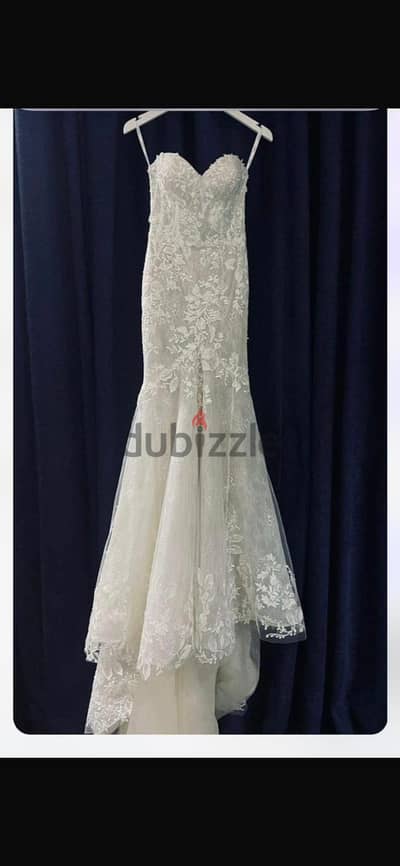 Brand New Turkish Designer dress Cagteks Bridal, Elegant Mermaid Style