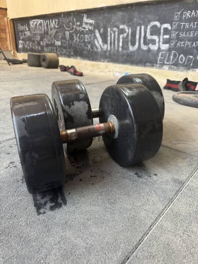 25kg dumbbell with nickel handle