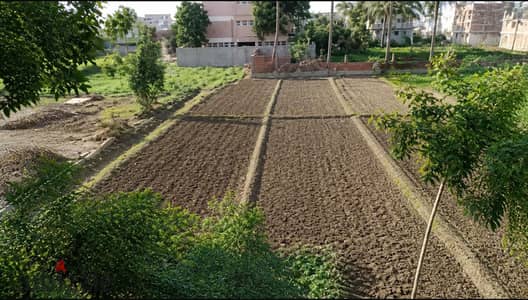 Land for Sale in Mit Rabia, Monufia | 1,528 m²
