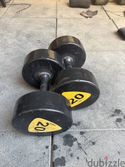 20kg dumbbell with nickel handle
