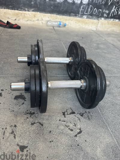 Decathlon Dumbbell kit 10 kg iron