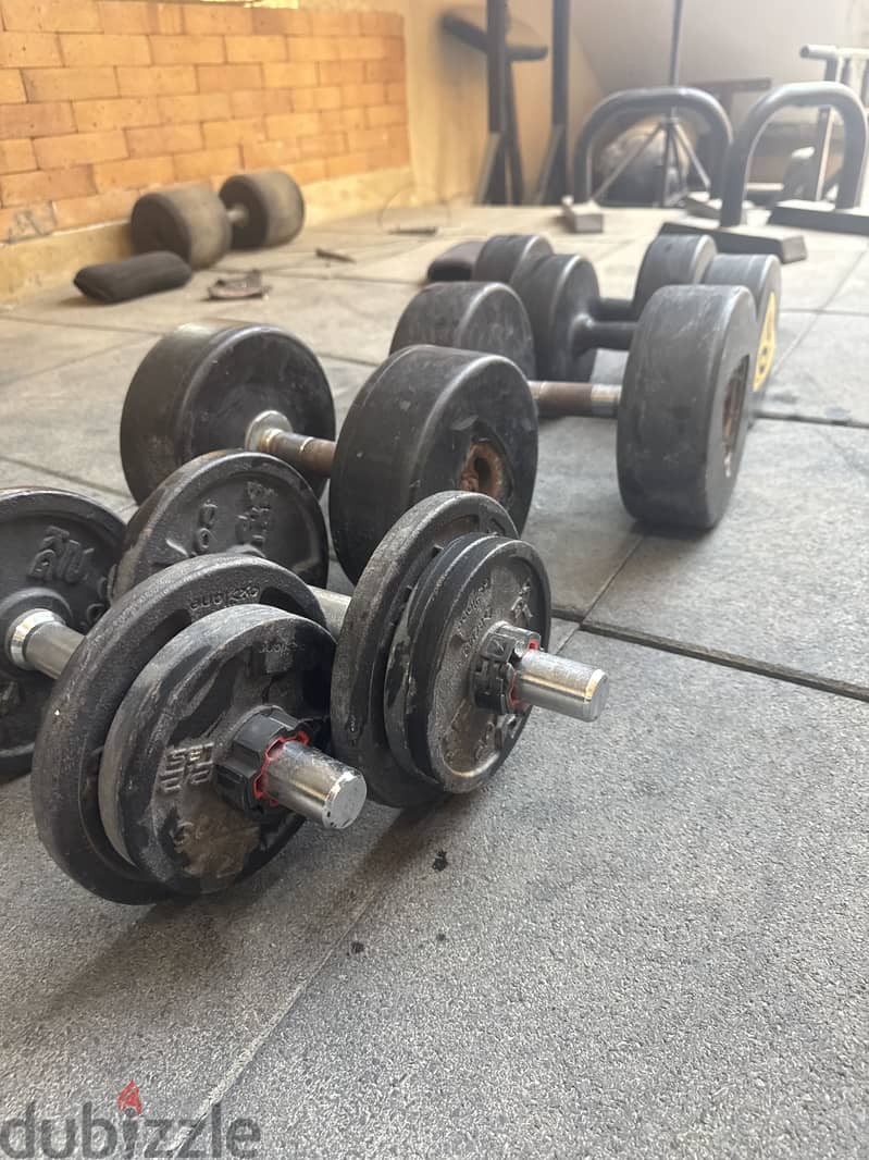 140kg dumbbells 1