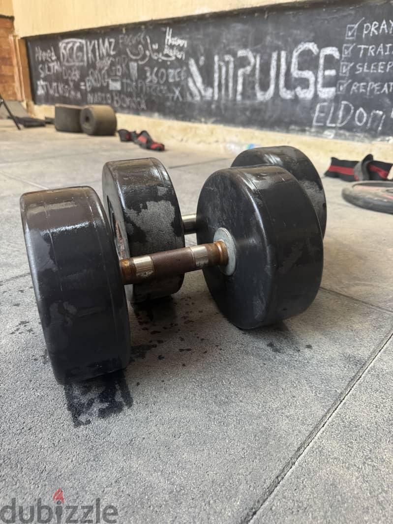 140kg dumbbells 2