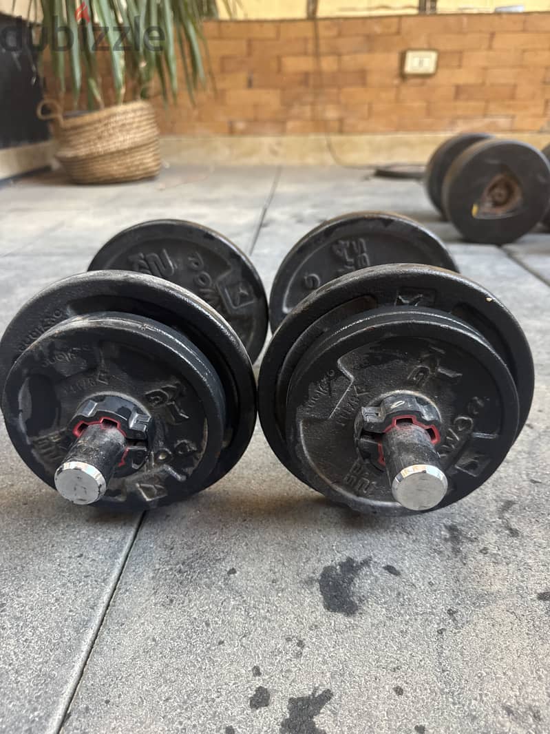 140kg dumbbells 6