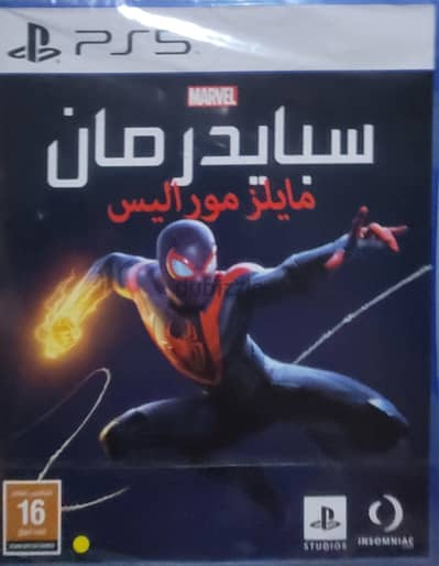 شبين الكوم