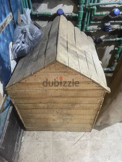 بيت كلب