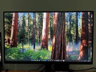 Samsung Odyssey G5 (G50D 2024) Flat 27 inch IPS 1440p Gaming Monitor