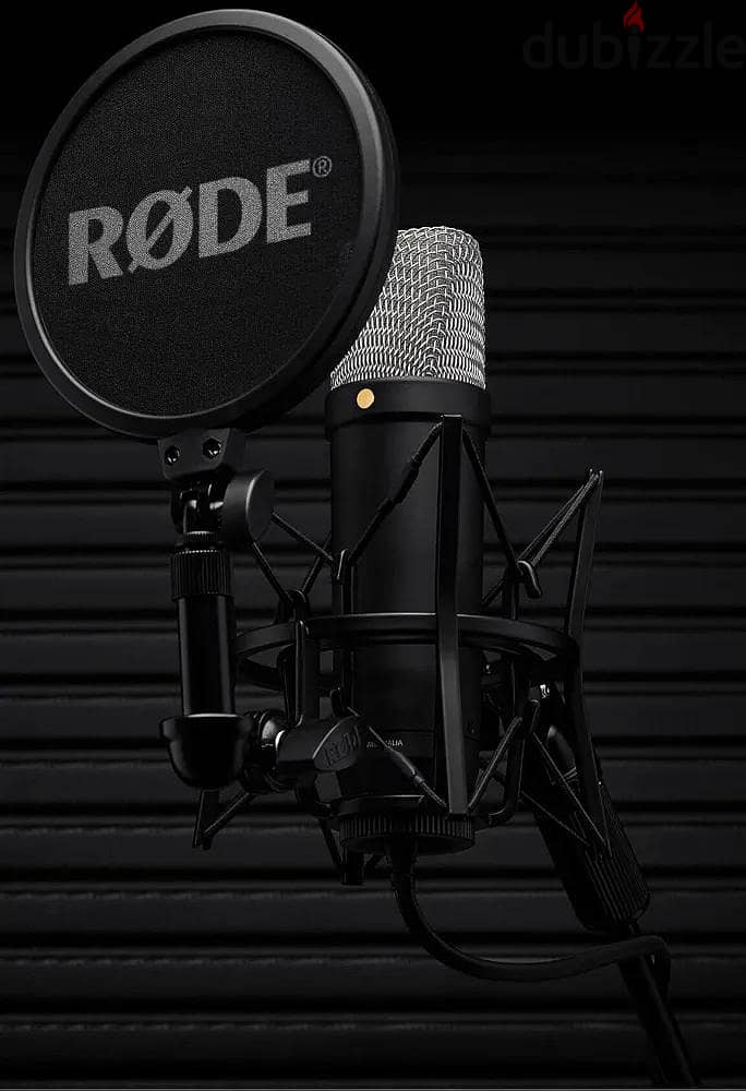 RØDE NT1 5th Gen 2