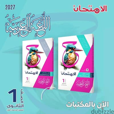 مدرسة لغة عربية