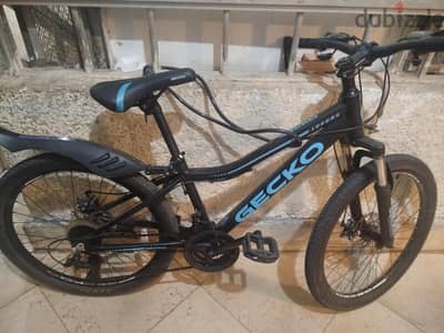 عجله سرعات ممتازه استعمال شهرين