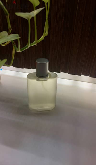 عطر رالف لورين حريمي 50 ml