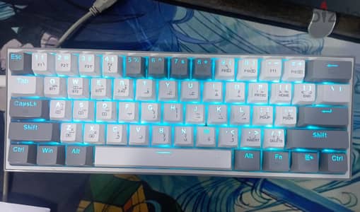 Reddragon Fizz K616 كيبورد