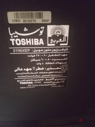 تلفزيون