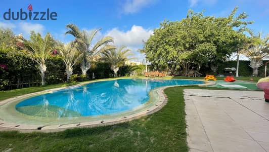 Luxury 5-Bedroom Villa with Private Pool | 3rd Row Sand Lagoon in Marina 7 