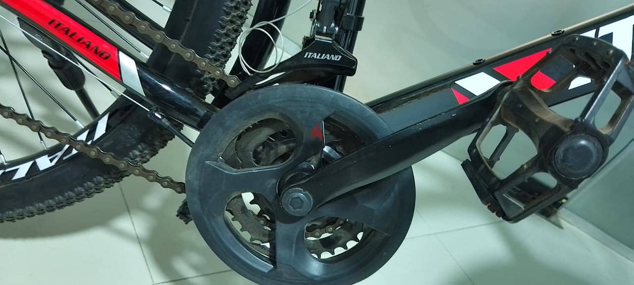 Italiano Bicycle - Latest version (Original accessories) 5