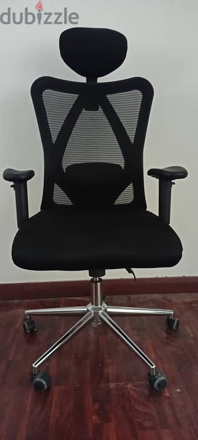 Ergonomic Mesh Office Chair with Headrest - Like New / كرسي مكتب طبي